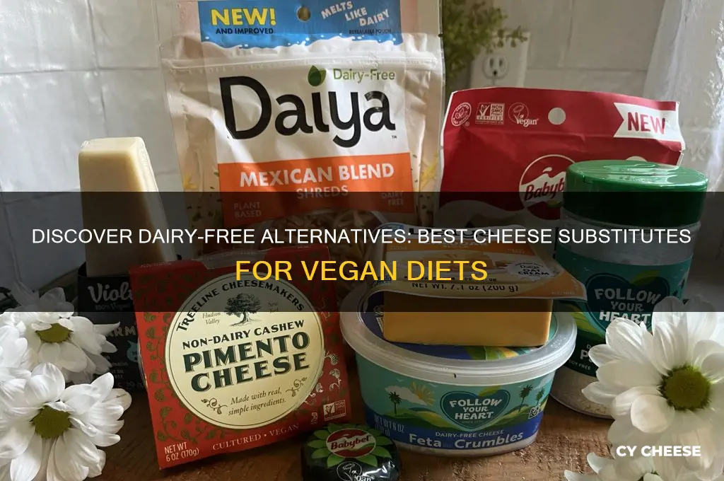 is there a cheese substitute