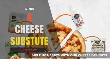 Discover the Best Cheese Substitutes for Your Dairy-Free Diet