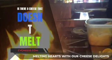 Cheese that Resists Melting: What's the Secret?