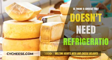 Cheese Storage Secrets: Which Varieties Skip the Fridge?