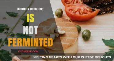 Exploring Non-Fermented Cheese: Does Such a Dairy Delight Exist?
