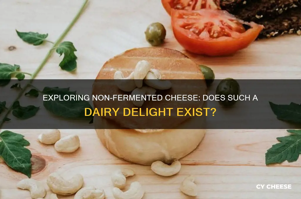 is there a cheese that is not ferminted