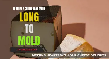 Cheese Mold: What's the Longest a Cheese can Last?