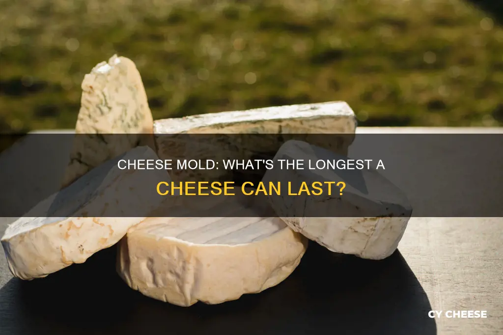 is there a cheese that takes long to mold