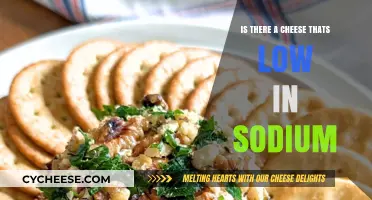 Low-Sodium Cheese Options: Discover Healthier Choices for Your Diet