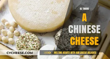 Exploring Chinese Cuisine: Does Traditional Cheese Exist in China?