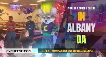 Chuck E. Cheese in Albany, GA: Does It Exist?