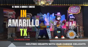 Amarillo's Chuck E. Cheese: A Fun Family Destination