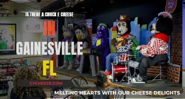 Chuck E. Cheese in Gainesville, Florida: Does It Exist?