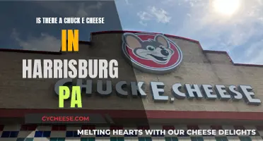 Harrisburg's Chuck E. Cheese: Fun for Families?