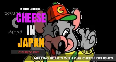 Chuck E. Cheese in Japan: Exploring a Unique Family Fun Option