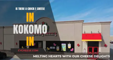 Kokomo's Chuck E. Cheese: Does It Exist?