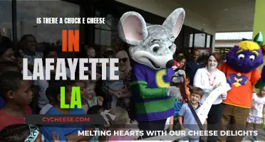 Lafayette's Chuck E. Cheese: A Fun Family Destination