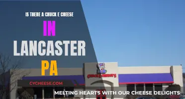 Chuck E. Cheese: Lancaster, PA's Family Fun Destination