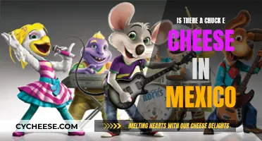 Chuck E. Cheese in Mexico: Fun for All?