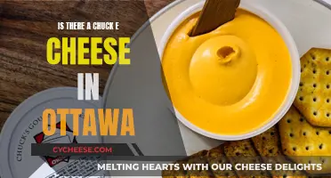 Chuck E. Cheese in Ottawa: Where to Find Them?