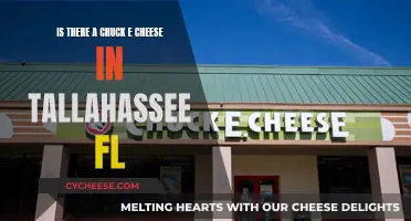 Chuck E Cheese: Tallahassee's Fun Spot?