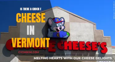 Vermont's Chuck E. Cheese: A Family Fun Mystery