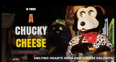 Exploring the Truth: Is There a Real Chucky Cheese?