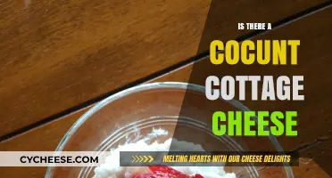 Exploring Coconut Cottage Cheese: Myth, Reality, or Delicious Innovation?