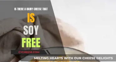 Soy-Free Dairy Cheese: Is It Possible?