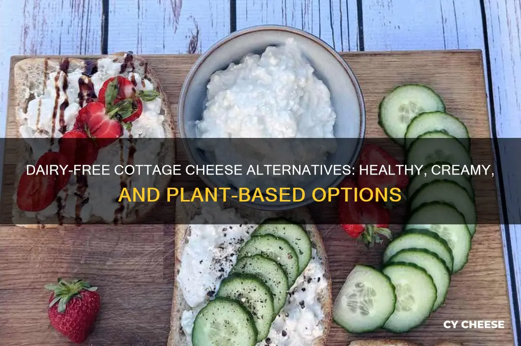 is there a dairy free alternative to cottage cheese
