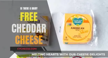 Dairy-Free Cheddar: Unveiling the Creamy, Cheesy Alternative