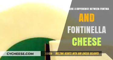 Fontina vs. Fontinella: Unraveling the Differences in These Cheeses