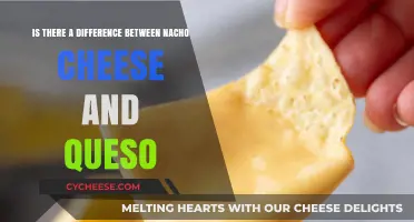 Nacho Cheese vs. Queso: Unraveling the Melty Mystery