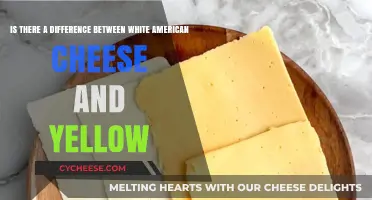 White vs. Yellow American Cheese: Uncovering the Surprising Differences