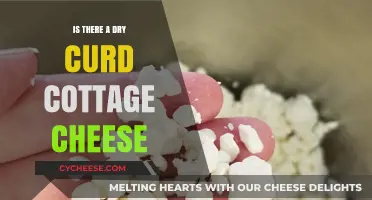 Exploring Dry Curd Cottage Cheese: Myth or Real Dairy Option?