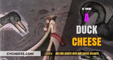 Exploring the Myth: Does Duck Cheese Really Exist?