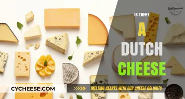 Exploring Dutch Cheese: A Delicious Journey Through Gouda and Beyond