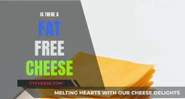 Fat-Free Cheese: Is It Possible?