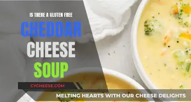 Gluten-Free Cheddar Cheese Soup: A Tasty, Sensitivity-Friendly Option