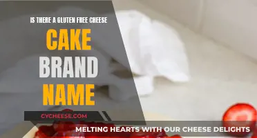 Gluten-Free Cheesecake: Brand Name Options