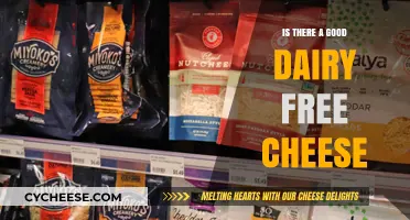 Discovering Delicious Dairy-Free Cheese: A Tasty Alternative for All