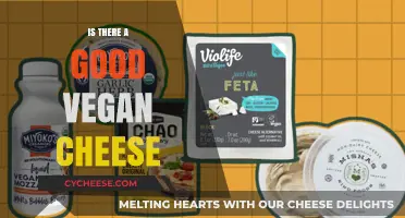 Discovering Delicious Vegan Cheese: A Tasty Alternative to Dairy