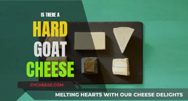 Goat Cheese: Hard, Tangy, and Delicious