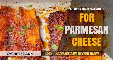 Healthy Parmesan Cheese Alternatives for Your Diet