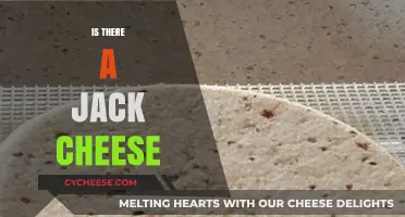 Exploring the Truth: Is There Really a Jack Cheese?