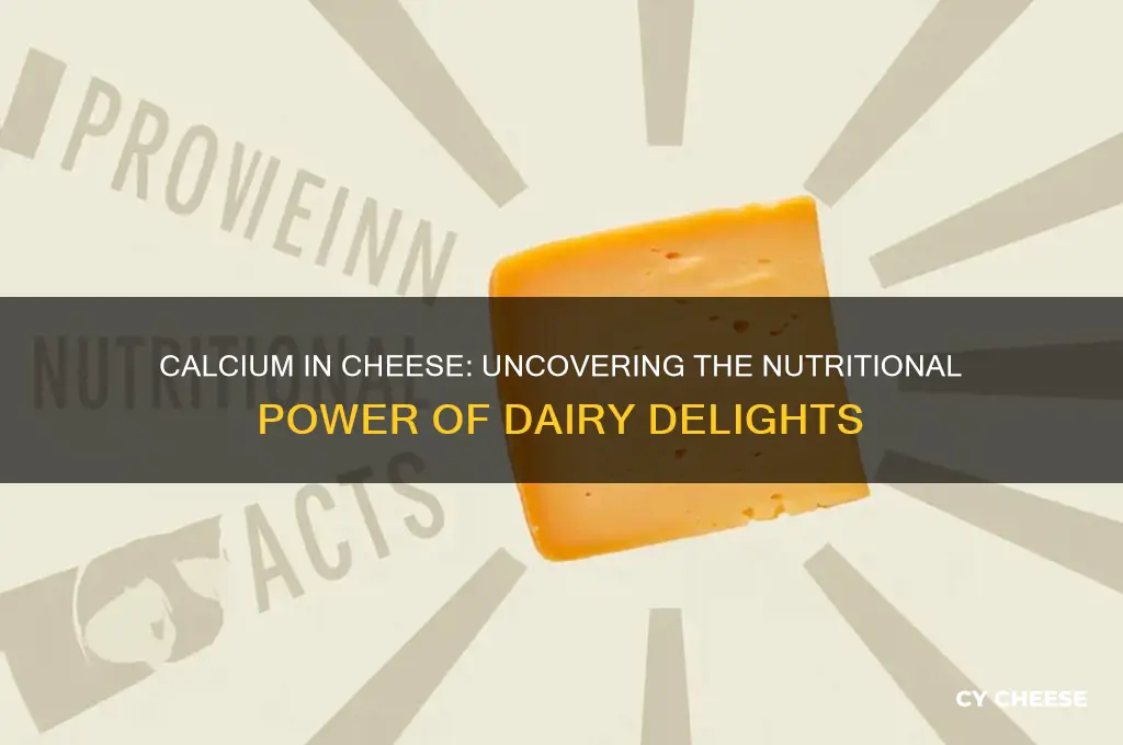 is there a lot of calcium in cheese