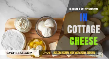 Cottage Cheese Calcium Content: Is It a Dairy Powerhouse?