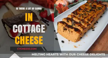 Cottage Cheese Carbs: Uncovering the Truth About Carb Content