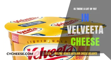 Velveeta Cheese Fat Content: Uncovering the Truth Behind the Creamy Texture