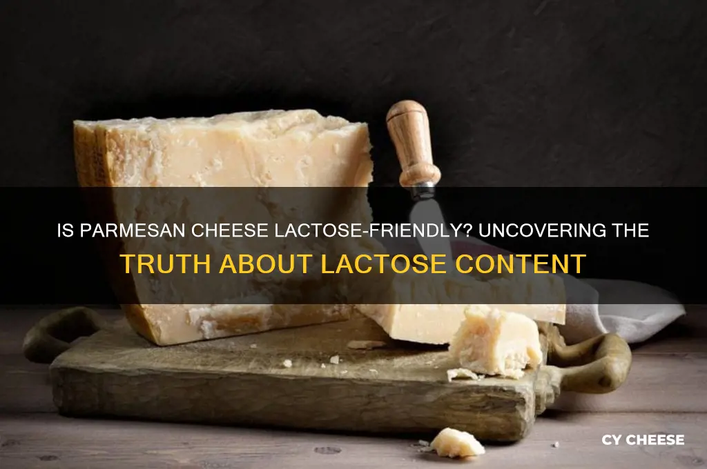 is there a lot of lactose in parmesian cheese