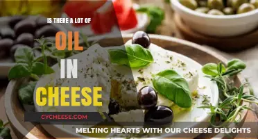 Is There a Lot of Oil in Cheese? Uncovering the Truth