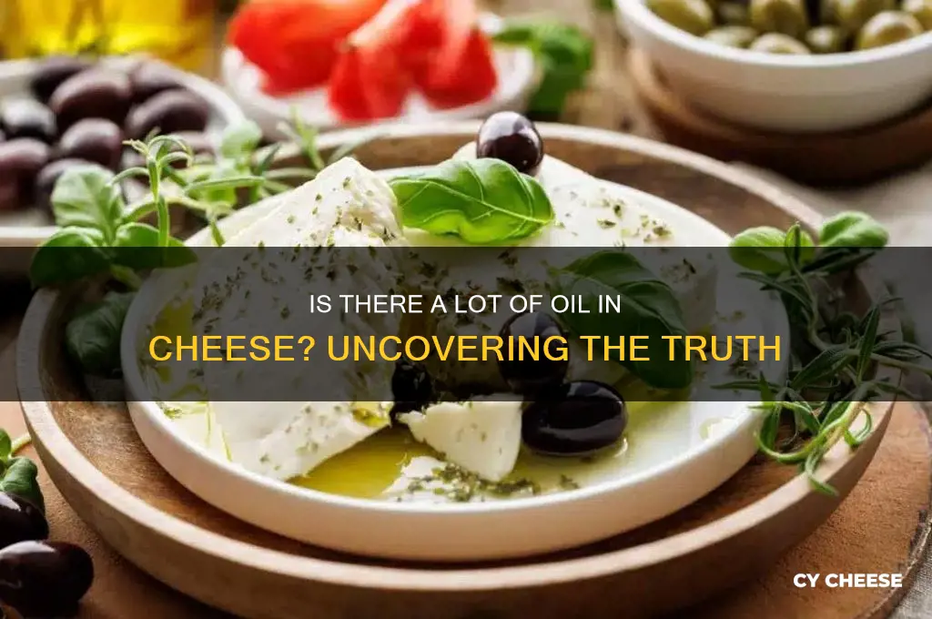 is there a lot of oil in cheese