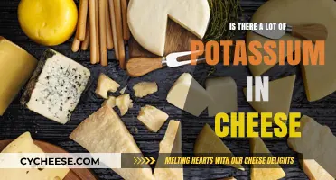 Does Cheese Contain High Potassium Levels? Uncovering the Nutritional Facts