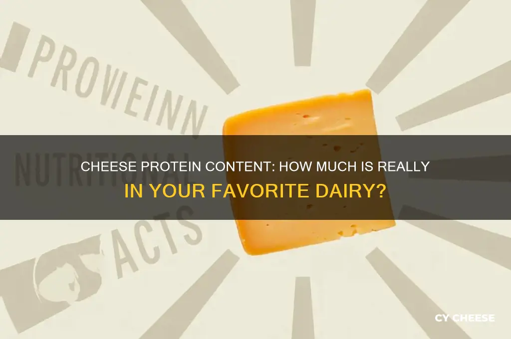 is there a lot of protein in cheese